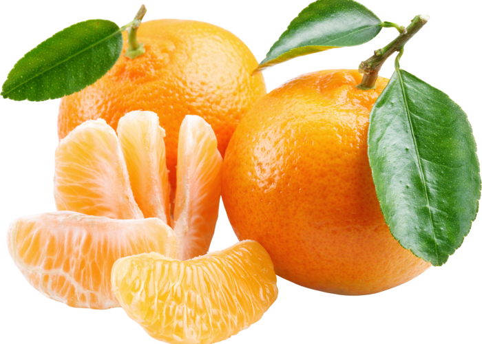 juice-tangerine-mandarin-orange-lemon-grapefruit-36a380f9351a7692528db6eaf134f85b